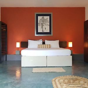 Double Room Late Checkout till 3 PM